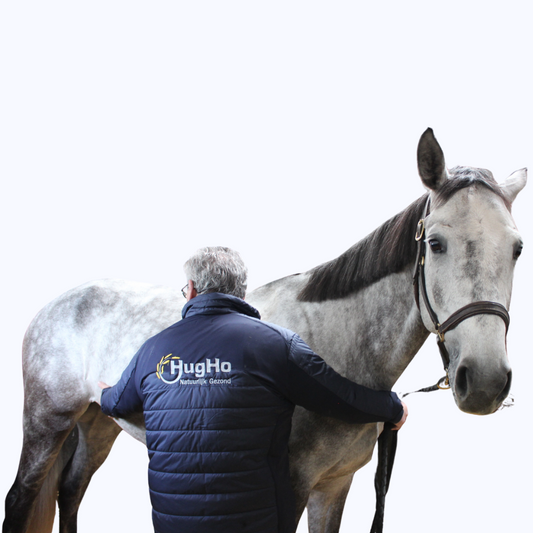 Koliek? HugHo Paardenvoeding maakt het verschil!