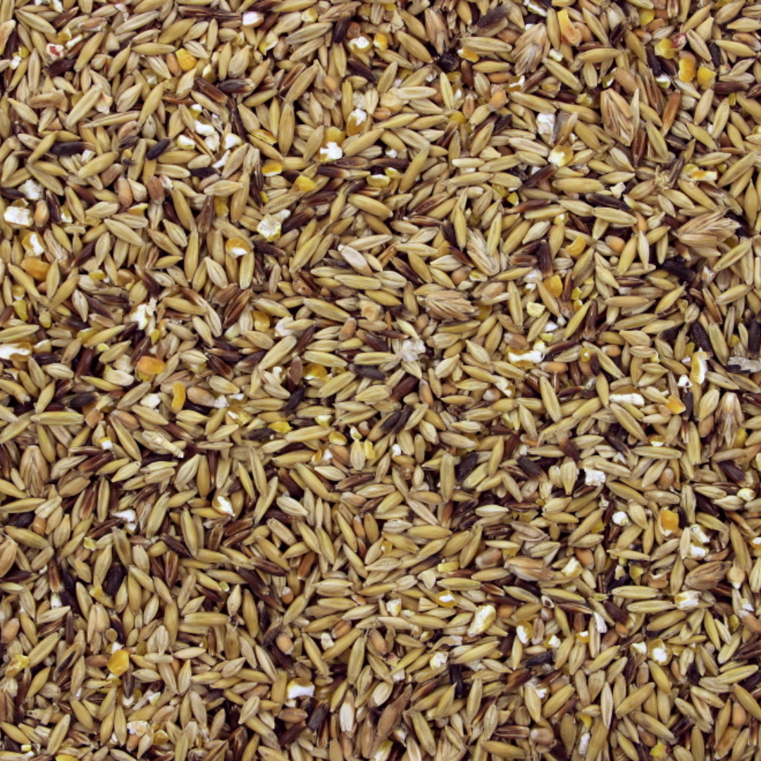 HugHo 6-Grain Mix | 17.5 kg